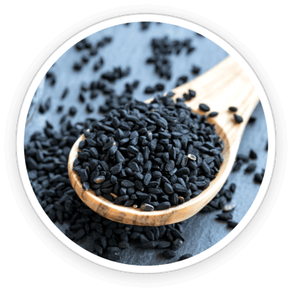 PrimeBiome  Ingredients 