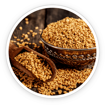 PrimeBiome   Ingredients 